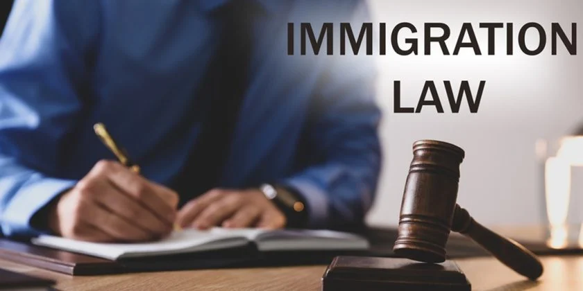 Immigration Lawyer in Ireland