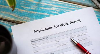 Work Permit for Ireland