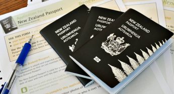 Immigration to Ireland from New Zealand