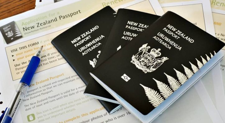 Immigration to Ireland from New Zealand